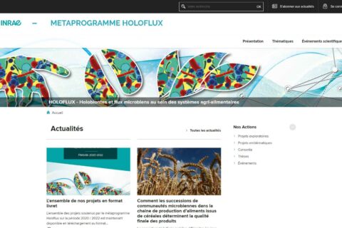 Les métaprogrammes INRAE, le perfectionnement !