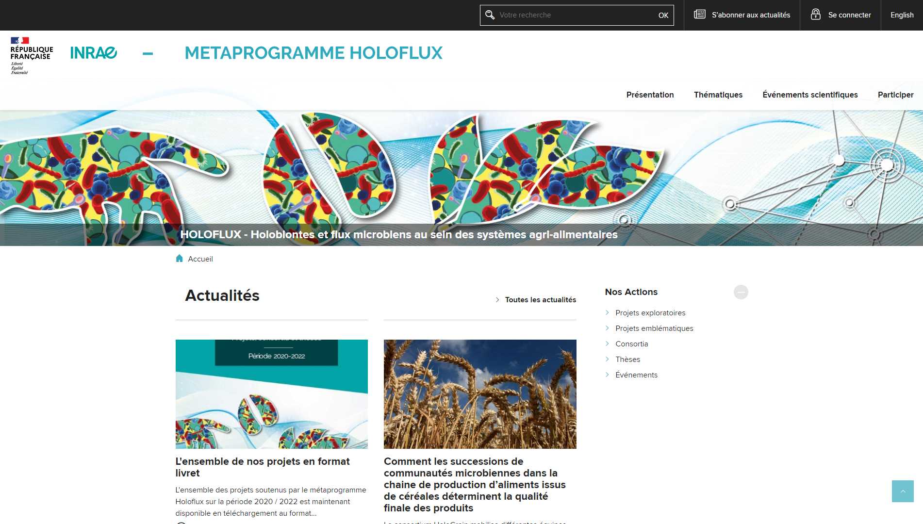 Métaprogramme Holoflux