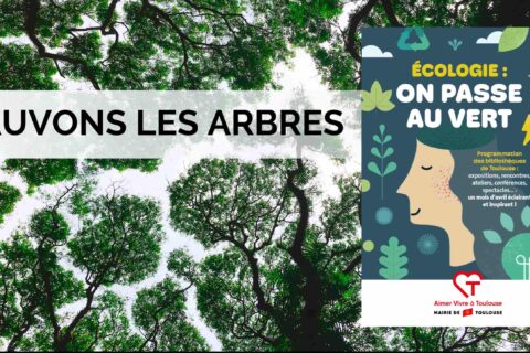 Modération de débats : sauver les arbres, rugby & handicap….