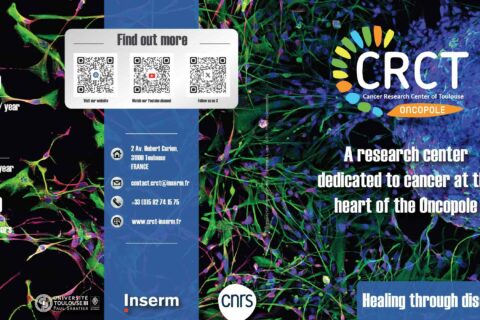 CRCT : Une chemise pour les contenir tous !