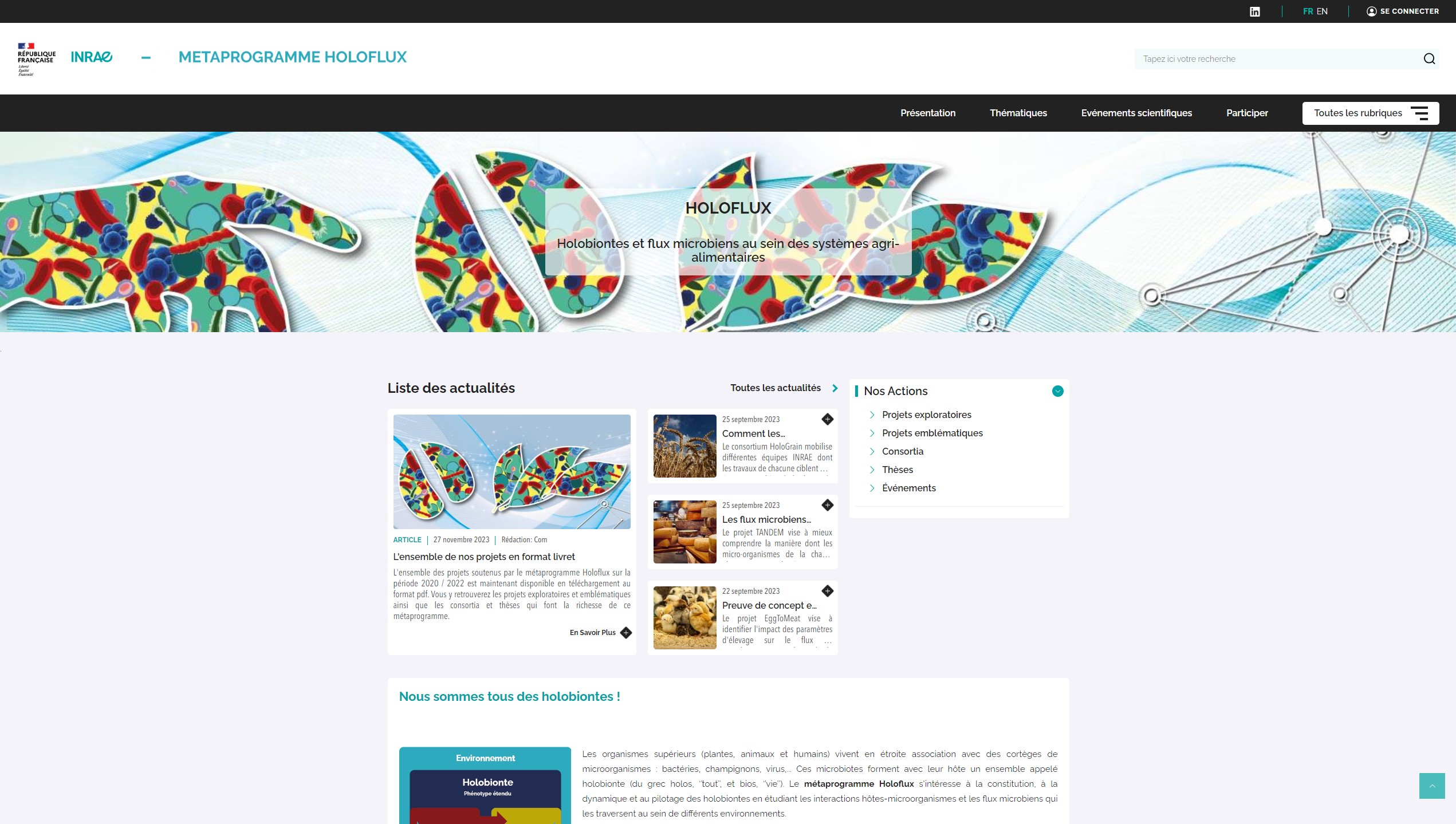 Métaprogramme Holoflux