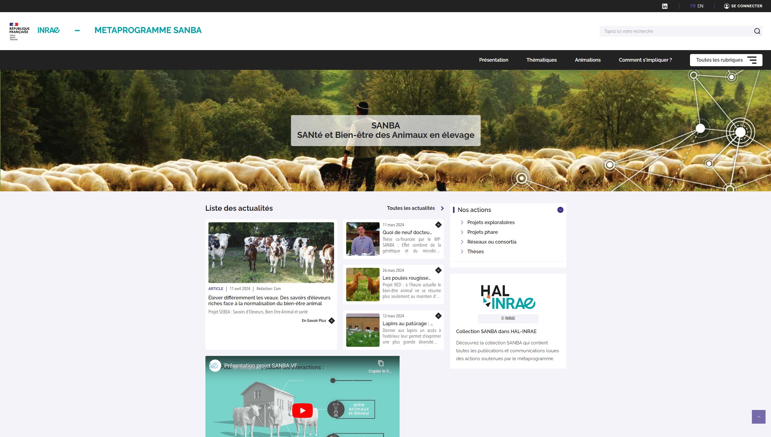 Métaprogramme Sanba